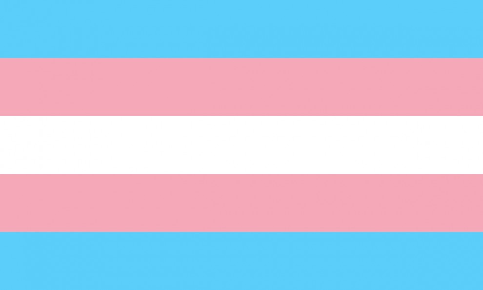 Découverte du transsexualisme, opération et rencontres